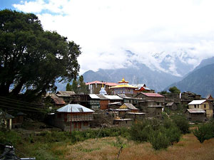 Kalpa Village Kinnaur