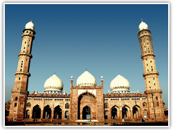 Taj-ul-Masjid Bhopal 