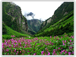 Valley of Flowers National Park Uttaranchal