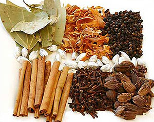 Ayurveda Spices, Ayurveda Spices Rajasthan