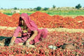 Economy of Rajasthan