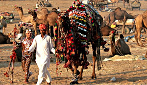 Pushkar Fair Pushkar Rajasthan