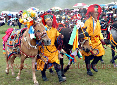 Tibet Tour Horse Festivals