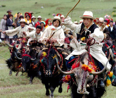 Tibet Tour Kumbum