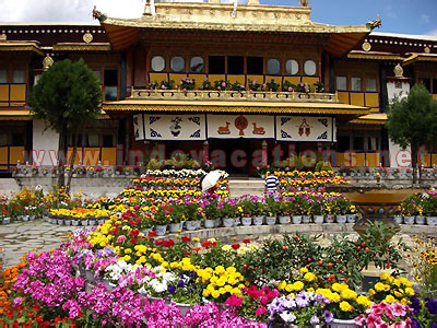 Tibet Tour Norbulingka Jewel Park