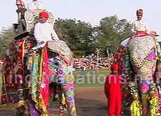 Elephant Festival, Jaipur