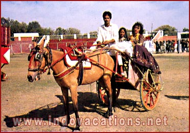 Ekka Ride-Bikaner Rajasthan