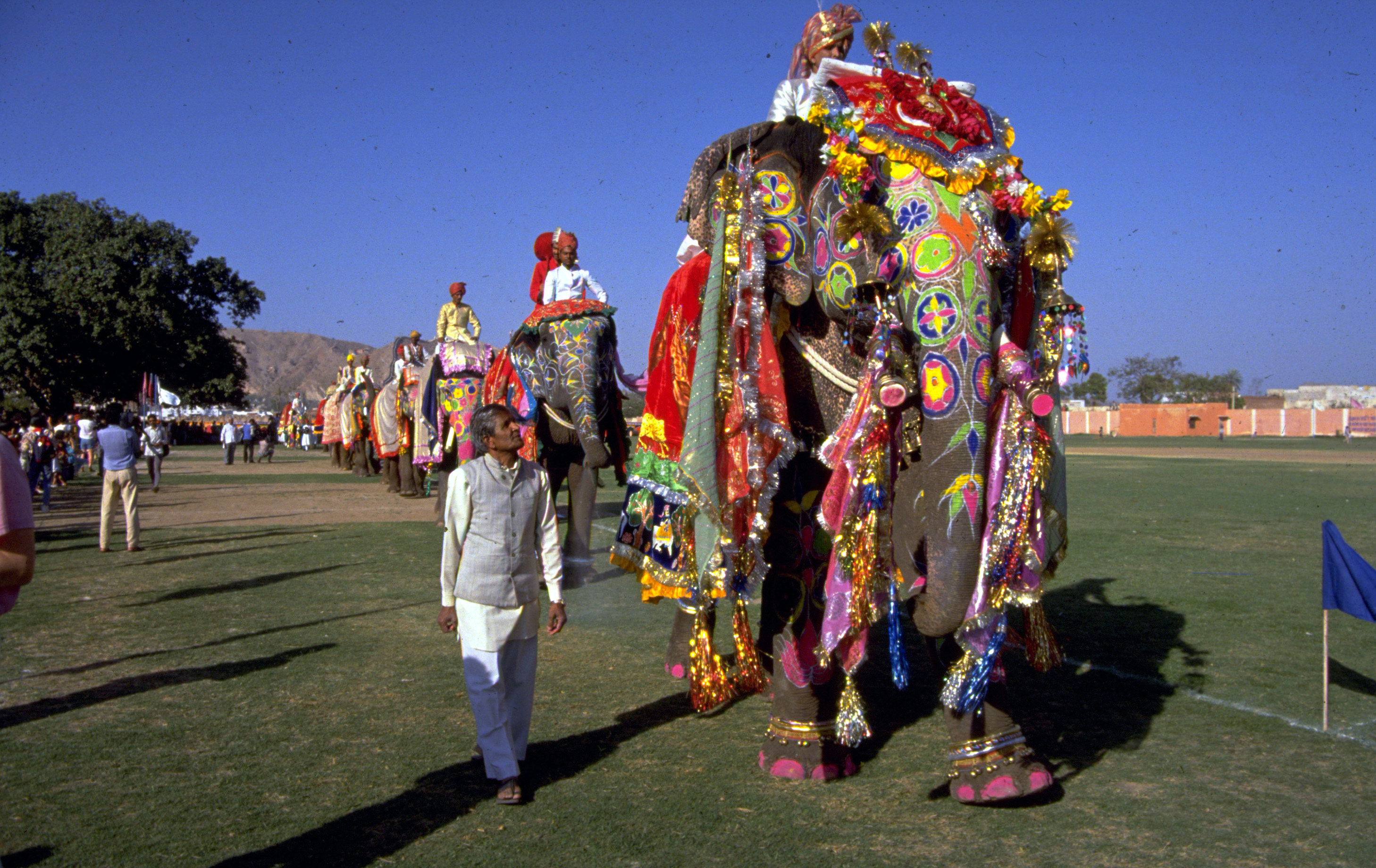 Image result for picture of elephants dressed up in india