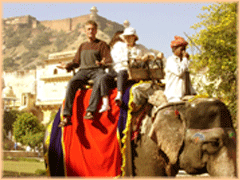 Amber Fort, Elephant ride in Amber