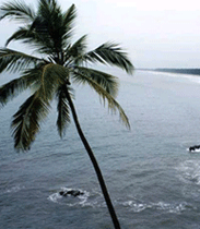Payyambalam Beach, Kannur