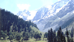 Thajiwas, Sonamarg