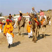 Camel Safari in India