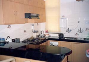 Kitchen, Kitchen in the Apartment