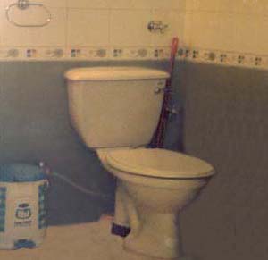 Toilet, Toilet Attached to the room