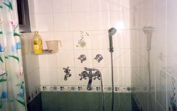 Bathroom, Attached Bathroom with the room
