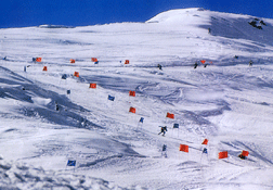 Khilanmarg, Gulmarg