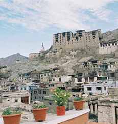Leh Palace, Leh