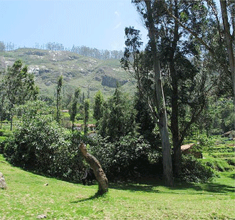 Indian Geography, The Western Ghats