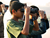 India Bird Watching Tours, India Birding Tour