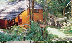 Vythiri Resort Cottages