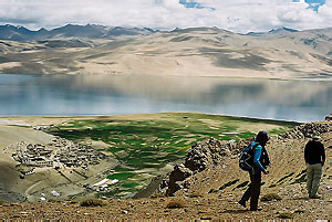 Tso Moriri Lake, Ladakh