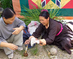 Ladakh Handicraft Workshop