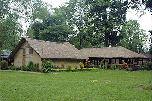 Eco camp,  Nameri National Park