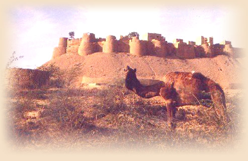 Sawai Madhopur, Ranthambore Fort