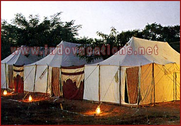 Camp in Desert Rajasthan