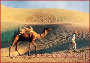 The sand dunes-Jaisalmer