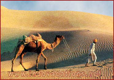 Dunes in Jaisalmer