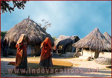 Huts in Desert of Rajasthan