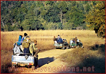 Jeep Safari in Rajasthan