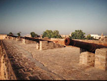 Diu Fort, Diu