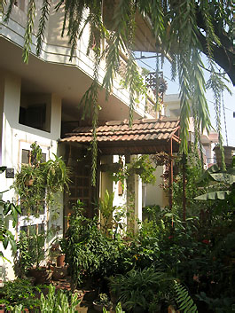 House, House with green surroundings