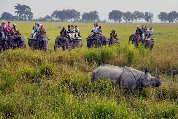 Kaziranga National Park