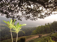 Madikeri, Coorg Hill Station, Karnataka