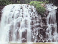Abbey Falls, Karnataka