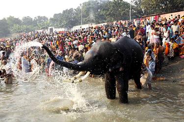 Bihar Festival, Festival in Bihar