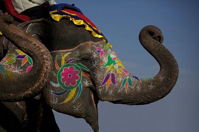 Dussehra Festival, Himachal Pradesh