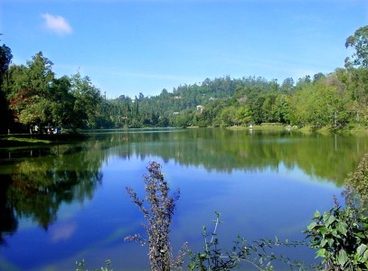 Kodai Lake, Kodaikkanal