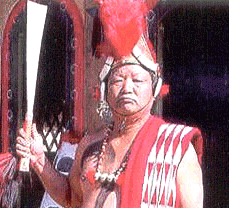 Nagaland People, People of Nagaland