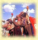 Historical Rajasthan Tour