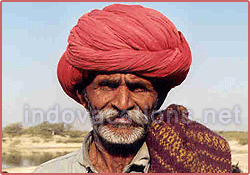 Rajasthani Man