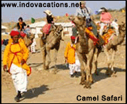 Camel Safari in Jaisalmer