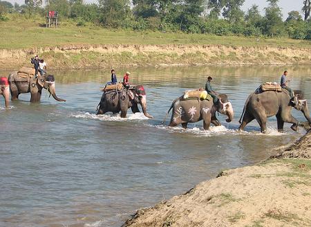 Chitwan