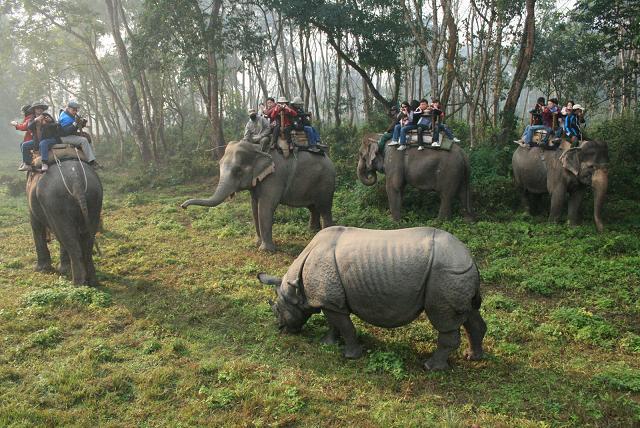 Chitwan National Park