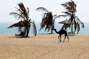 Ahmedpur Mandvi Beach Gujarat