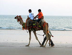 Kutch Mandvi Beach Gujarat