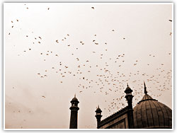 Delhi Heritage
